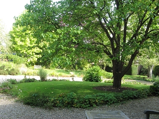 East Lambrook Manor Garden